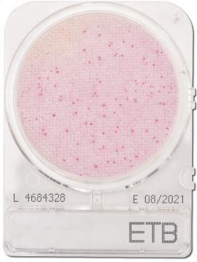 Compact Dry Enterobacteriaceae ETB | Nissui