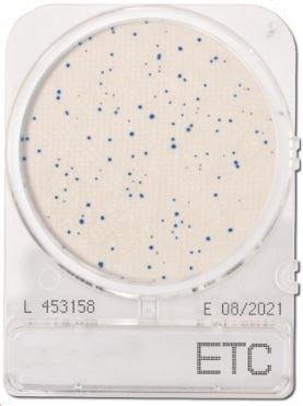 Compact Dry Enterococcus species ETC | Nissui