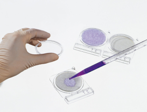 Đĩa kiểm tra vi khuẩn nhanh Compact Dry Nissui